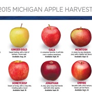 Michigan Apples