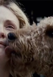 Blindness (The Dog of Tears)