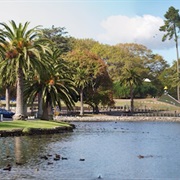 HAMILTON CITY TRAVERSE