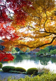 Breathing in Autumn (Ava Deniz)