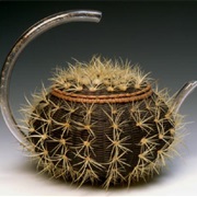 Cactus Teapot