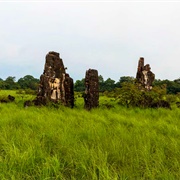 Moukalaba-Doudou National Park, Gabon