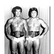 Jim Brunzell and Greg Gagne