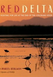 Red Delta (Charles Bergman)