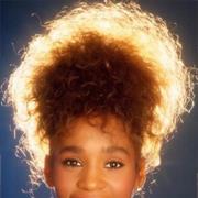 WINDY HANDSOME - HANDSOME, WINDY