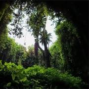 Musanze Cave, Rwanda