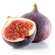 Smyrna Fig