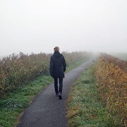 Taking a Walk on a Foggy Fall Day