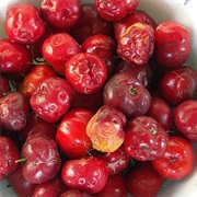 Barbados Cherries