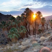 Santa Rosa and San Jacinto Mountains National Monument