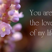 Met the Love of Your Life