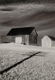 Celebrations: An Exhibition of Original (Black & White) Photographs (Minor White)