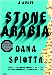 Stone Arabia (Dana Spiotta)