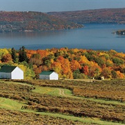 New York's Finger Lakes