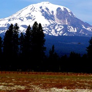 Glenwood, Washington