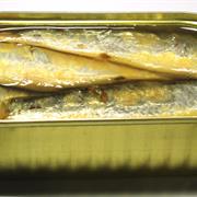 Sardines