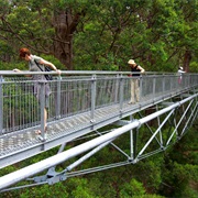 Tree Top Walk, Denmark