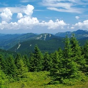 Putna Vrancea Natural Park, Romania