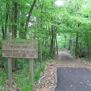Louisiana State Arboretum