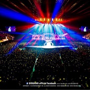 Attend a Mega Concert