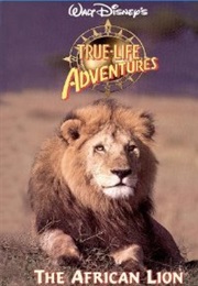 True-Life Adventures the African Lion (1955)