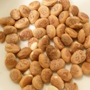 Charoli (Buchanania Lanzan)