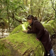 Capoompeta National Park (NSW)