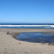 D River State Recreation Site, Oregon