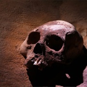 Discovered and Explored a Mayan Burial Chamber in the Jungle