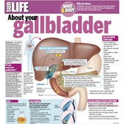 Gallbladder Disease