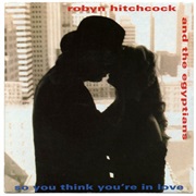 So You Think You're in Love - Robyn Hitchcock & the Egyptians