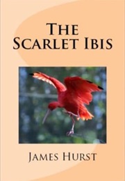 The Scarlet Ibis (James Hurst)