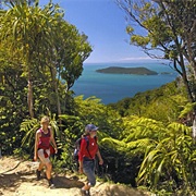Queen Charlotte Track, New Zealand