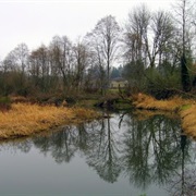 Salmon Creek, Washington