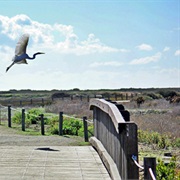 Tijuana Slough National Wildlife Refuge