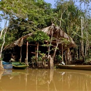 Orinoco Delta, Venezuela