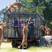 Orana Wildlife Park