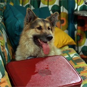 Take Me to Your Leader