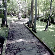 Bogue Chitto National Wildlife Refuge