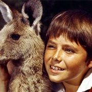 Sonny (Skippy the Bush Kangaroo)