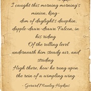 "The Windhover" by Gerard Manley Hopkins