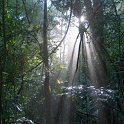 Udawattakele Forest Reserve