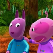 Race Around the World