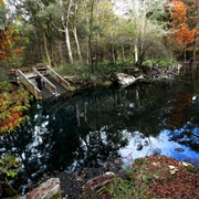Peacock Springs State Park, Florida