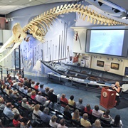 Whaling Museum, Nantucket, MA