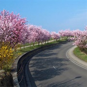 Neustadt an Der Weinstraße