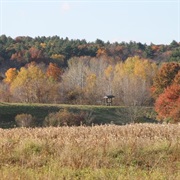 Callahan State Park, Massachusetts