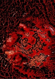 Materia Obscura (2009)