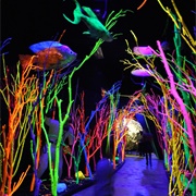 House of Eternal Ruin, Santa Fe, NM