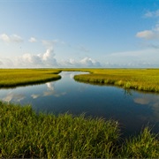 Brazoria National Wildlife Refuge